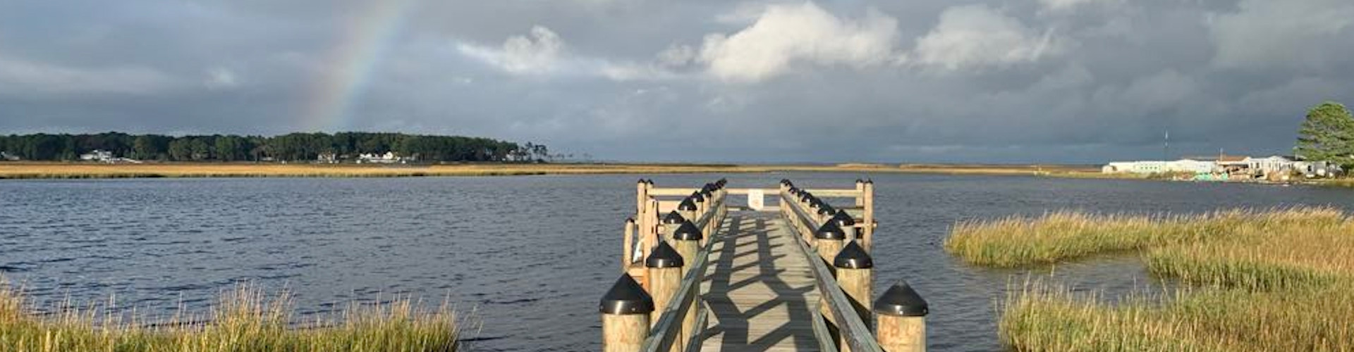 banner-new